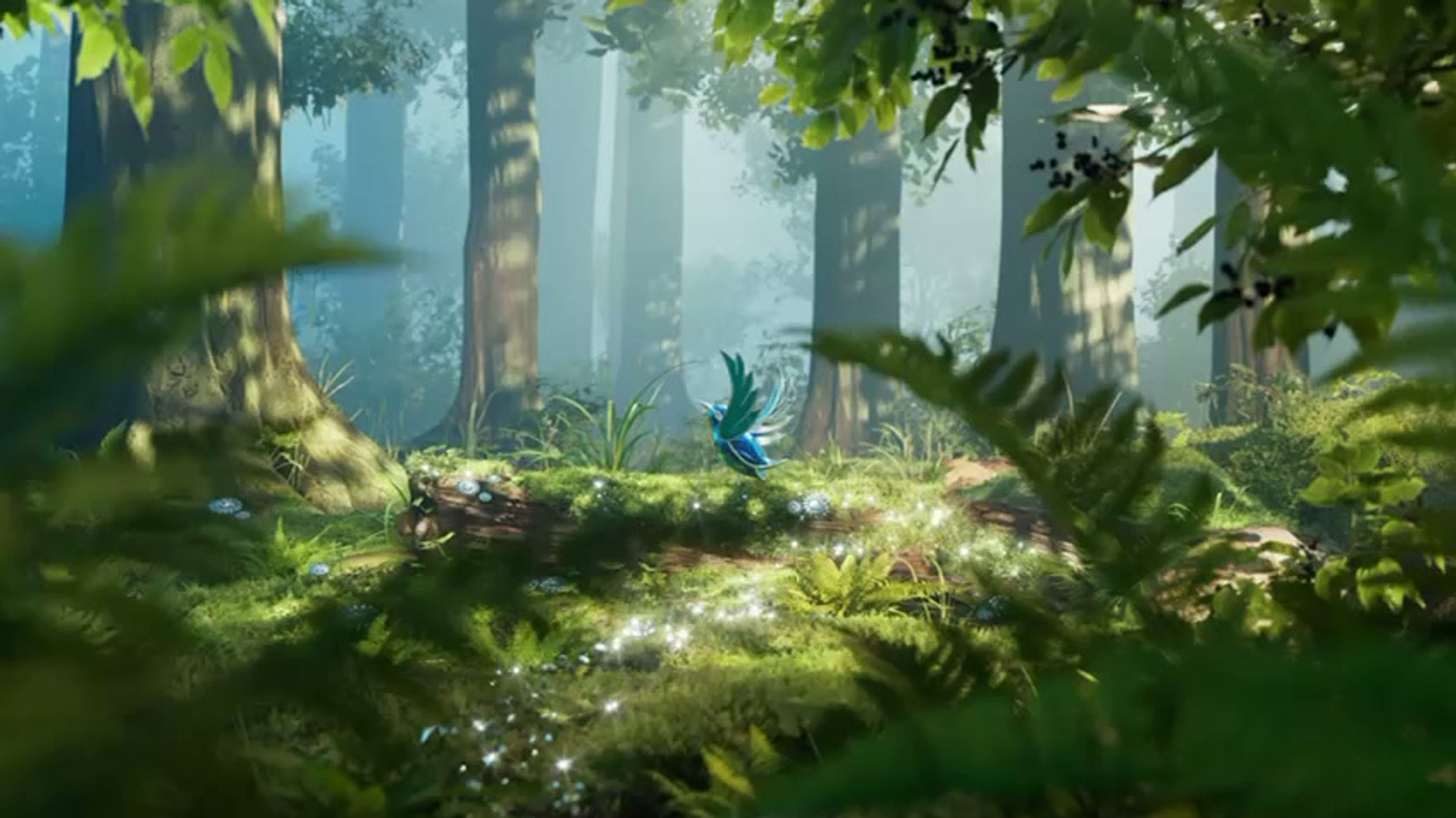 Cloozz  (Fashion Brand)